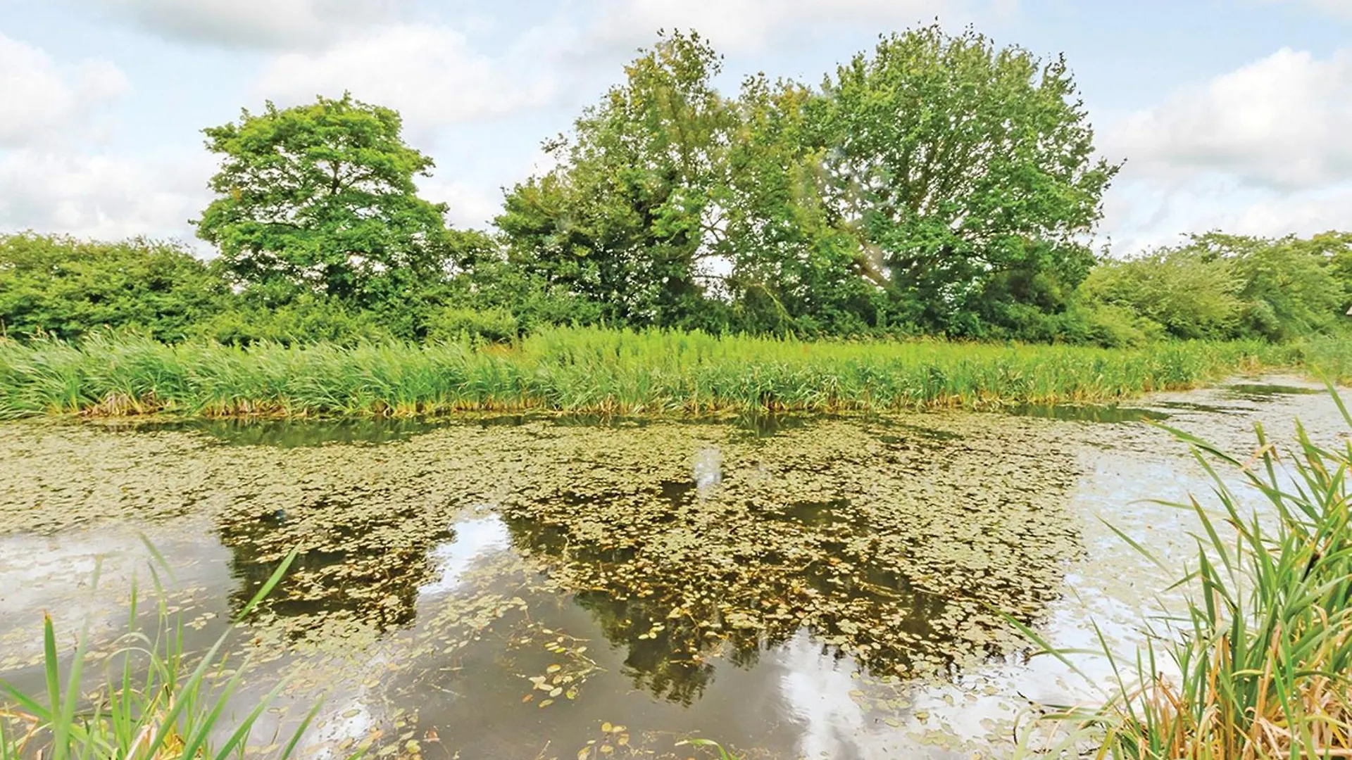 Oakwood Lodges Skipwith
