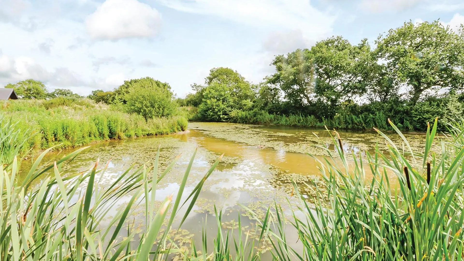 База отдыха Oakwood Lodges Skipwith Великобритания